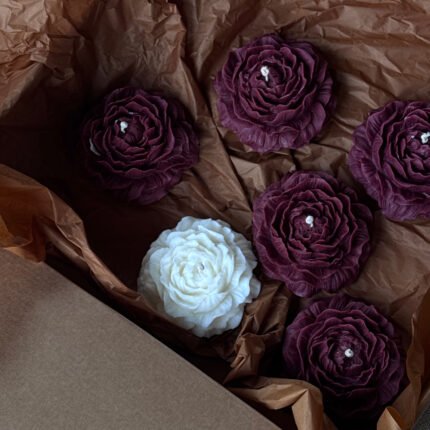 Renkli Kalıp Soyawax Mumları Üretim Dersi